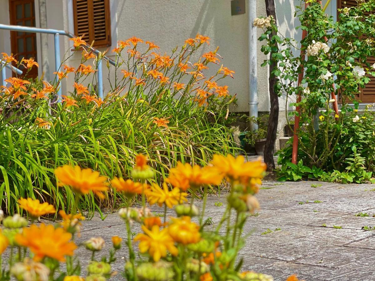 Garden House Budva Exteriör bild